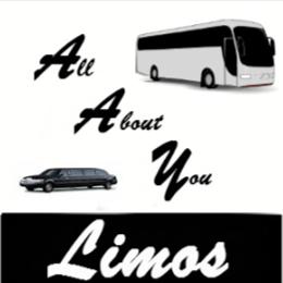 All About You Limos - Saint Louis, MO 63123 - (314)631-0747 | ShowMeLocal.com