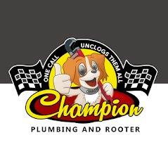 Champion Plumbing & Rooter - Phoenix, AZ 85009 - (602)269-6323 | ShowMeLocal.com