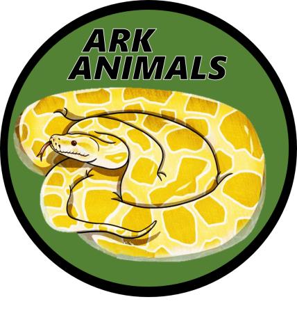Ark Animals Southampton 07711 956428