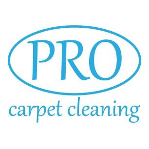 Pro Carpet Cleaning Godalming 01483 668930