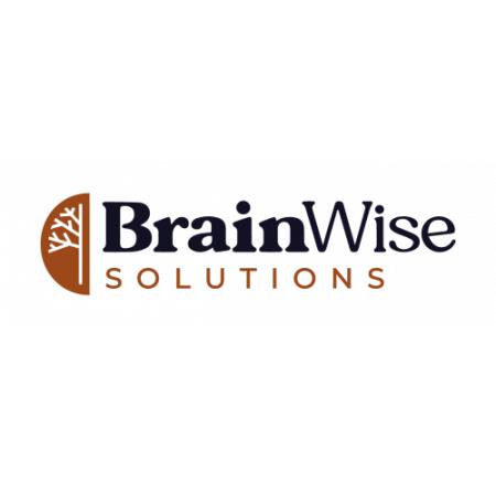 Brainwise Solutions Mooresville (704)327-5911