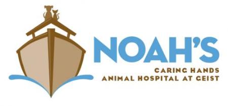 Noah's Caring Hands Animal Hospital at Geist - Indianapolis, IN 46236 - (317)823-6922 | ShowMeLocal.com