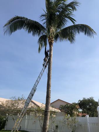 EBM Property Maintenance Fort Lauderdale (954)274-6025