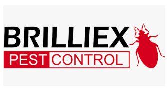 Brilliex Pest Control Toronto (289)805-8280