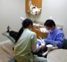 Pickett Center Dental Care - Nathan Chong Fairfax (703)323-5296