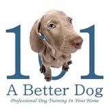 A Better Dog Home Dog Training - Phoenix, AZ 85050 - (480)336-3676 | ShowMeLocal.com