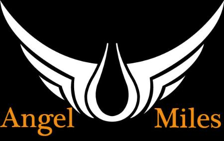 Angel Miles Transportation - Brooklyn, NY 11232 - (718)530-6527 | ShowMeLocal.com