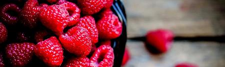 Raspberry Ketones Diet Liquid Guarantees Weight Loss - Tampa, FL 33612 - (813)569-6794 | ShowMeLocal.com
