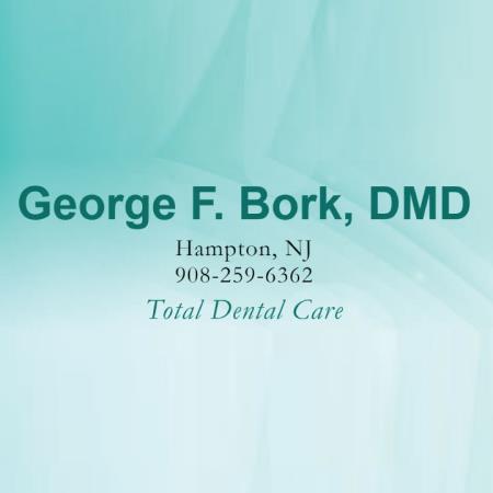 Bork  George F - Hampton, NJ 08827 - (908)537-4248 | ShowMeLocal.com