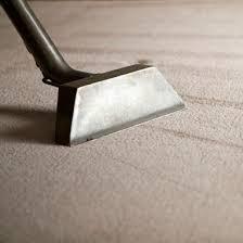 Carpet Cleaning Pasadena Pasadena (626)586-1420