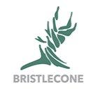 Bristlecone Construction - Littleton, CO 80120 - (720)449-3909 | ShowMeLocal.com