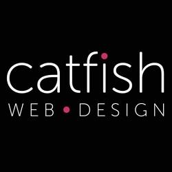 Catfish Web Design - Cambridge, Cambridgeshire CB23 1JG - 01223 873349 | ShowMeLocal.com